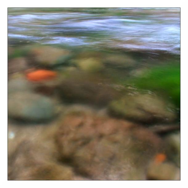 Day 14: Impressionist's Creek