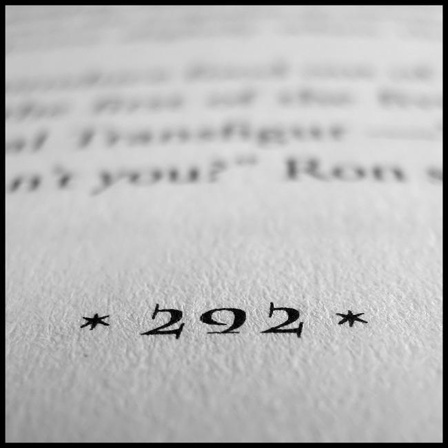 Day 33: *292*