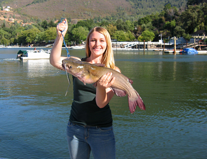 0.0 Big Fishy