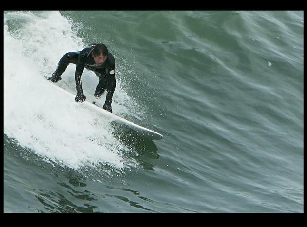Gorilla Surfer
