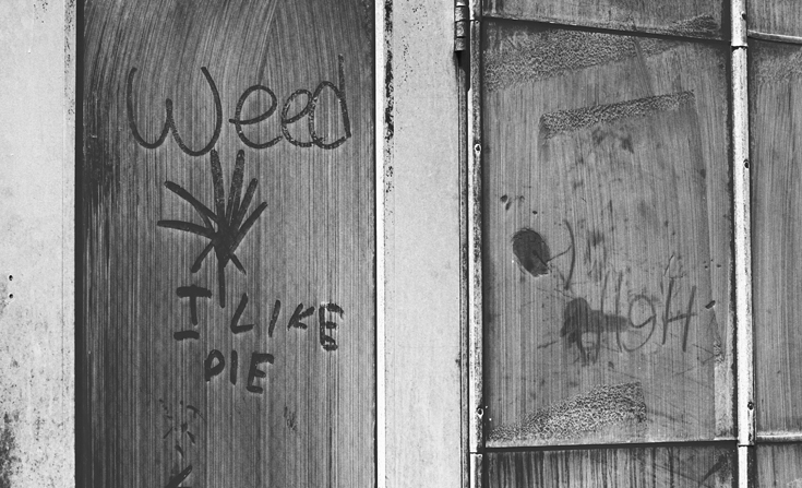 Week 38: "Weed, I LIKE PIE"