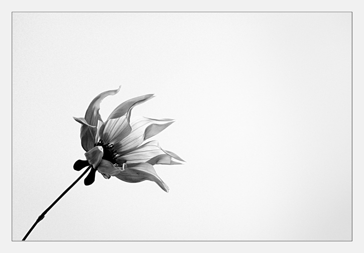 Week 50: Reach