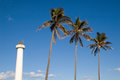 Palms and lighthouse