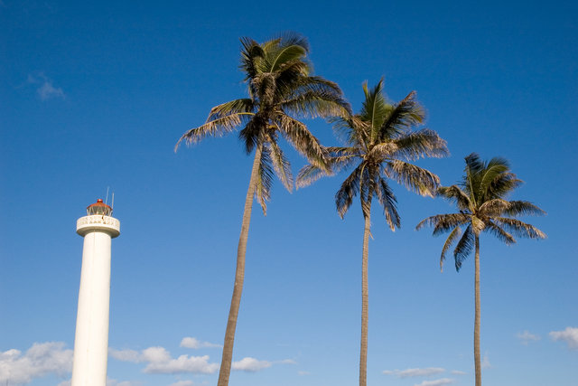 Palms and lighthouse