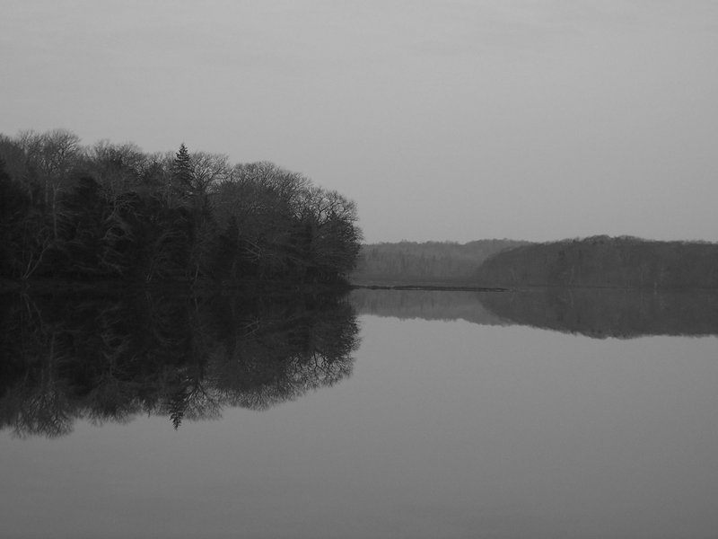 Peninsula in mist.