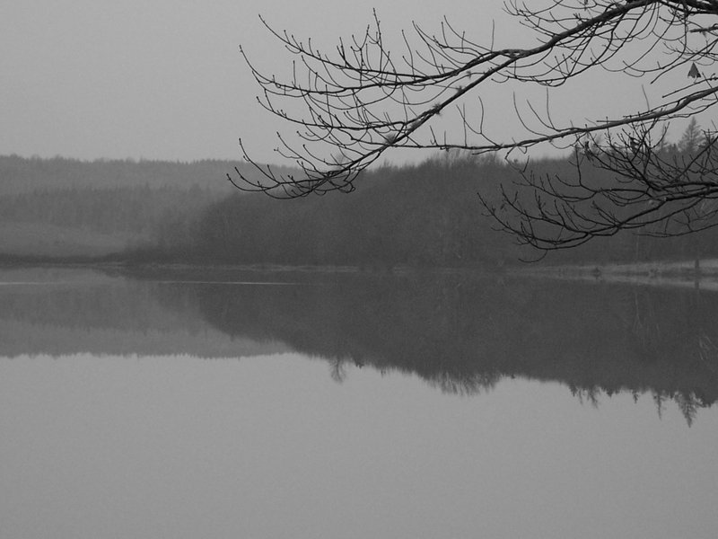 Far shore.