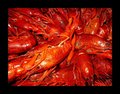 Crayfish