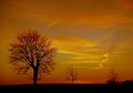 Sunset in Staffanstorp