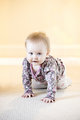 Polly 5
