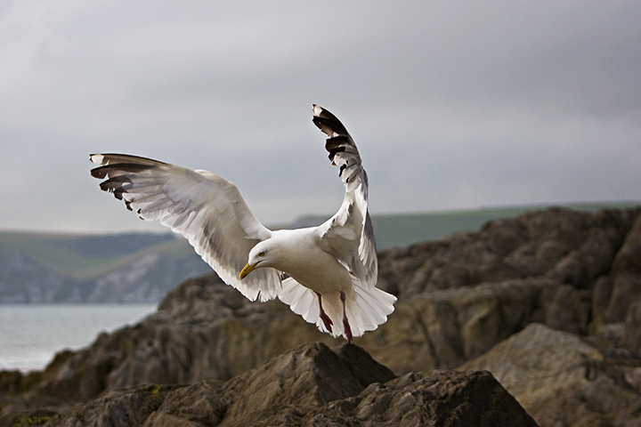 Take Off
