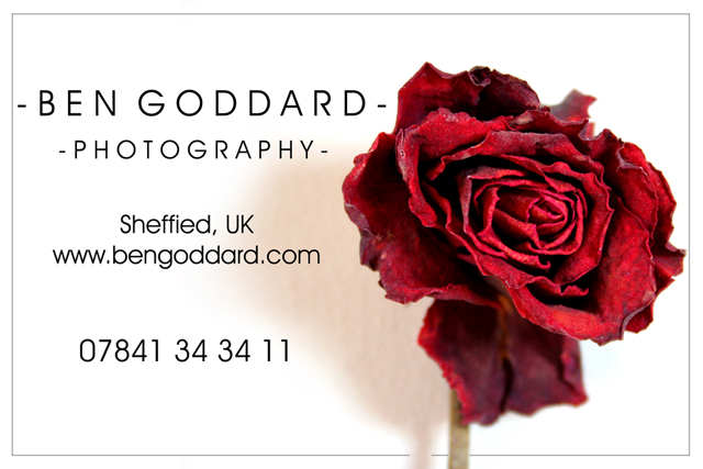dpc business card 2.jpg