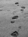 Footprints