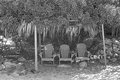 Backyard Patio