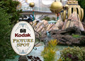Picture Spot