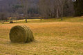 Hay Bale