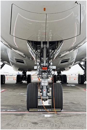 Airbus A380 - Nose Landing Gear, Front View