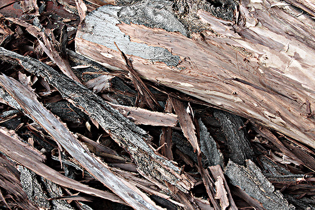 Bark