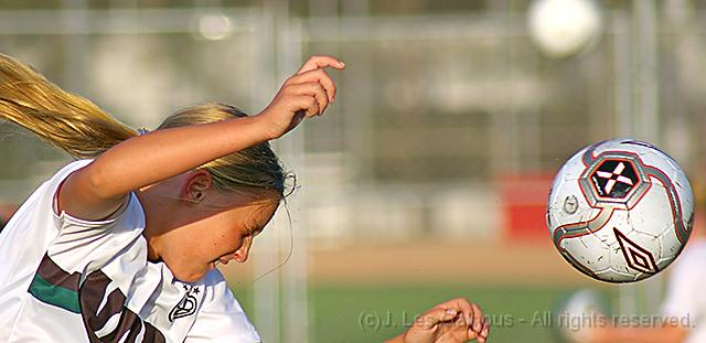 Carolyn's Header