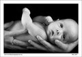 IMG_2947.jpg