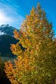 Engadin