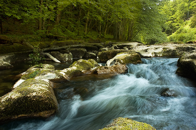 Gorges de l'Orbe