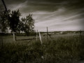 Across The Field
