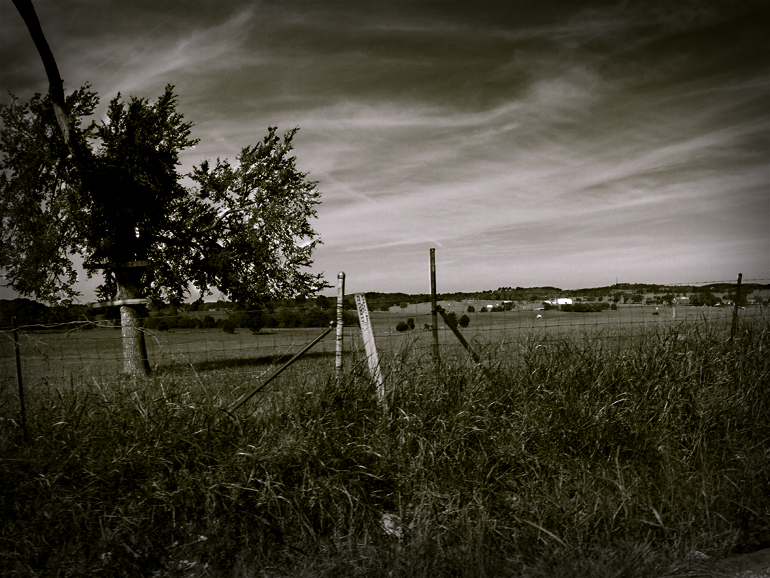 Across The Field
