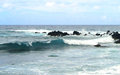Little Wave
