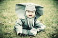 Elephant!