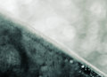 The Iceman Cometh