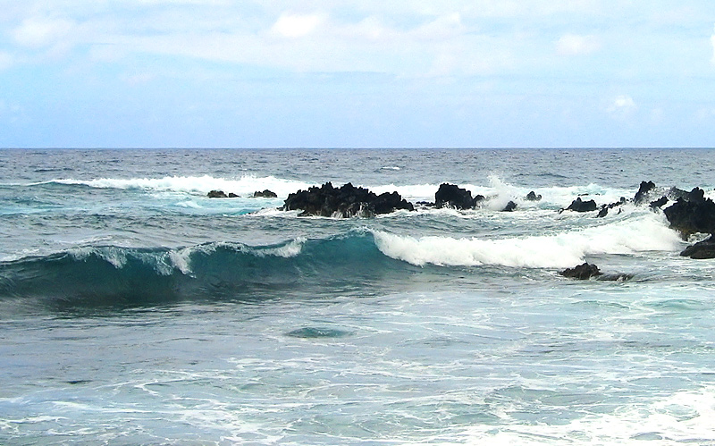 Little Wave