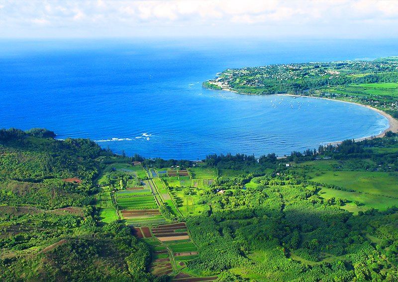 Farming on Hanalei Bay