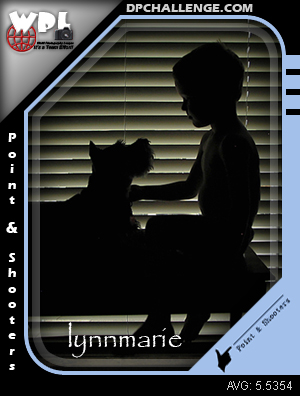 Lynnmarie
