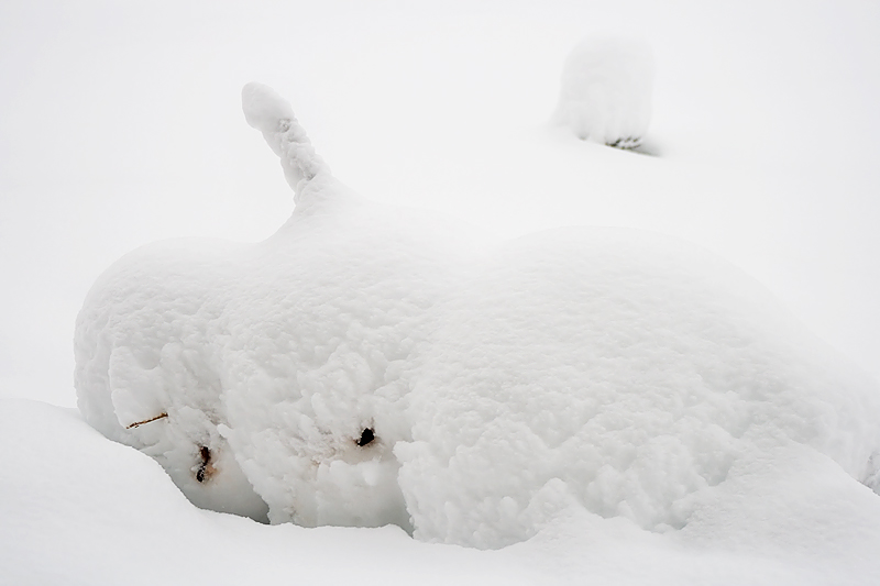Fallen Snowman