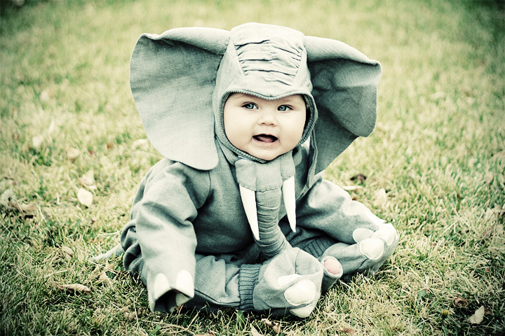 Elephant!