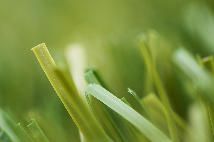 Grass (well, sort of)