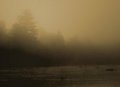 Morning Light