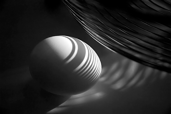 The Egg