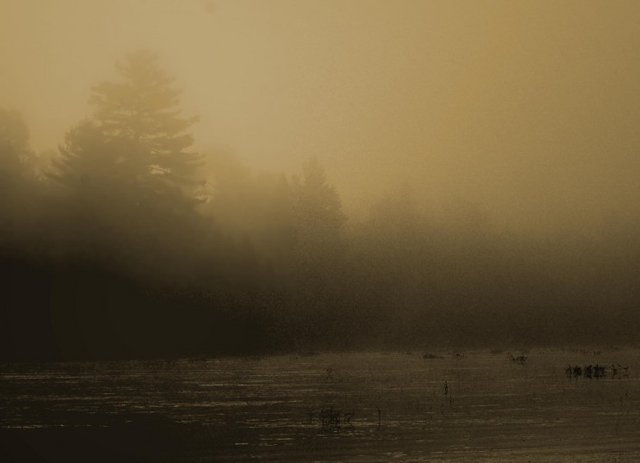 Morning Light