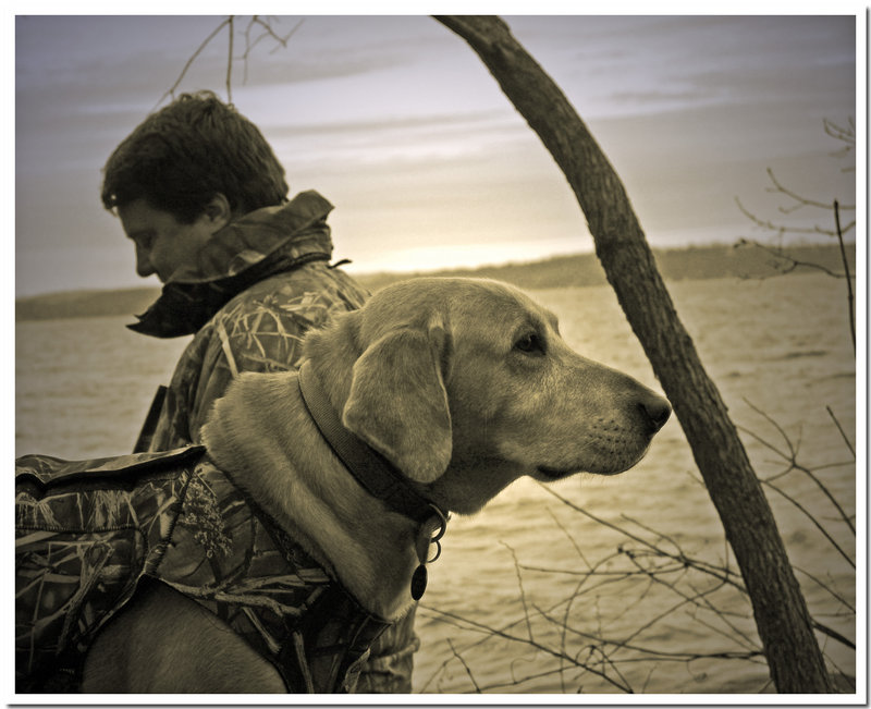 The Duck Hunters