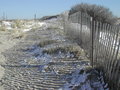 DSCN1039.JPG