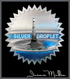 The Water Drop Side Challenge. Silver Award.