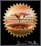 The Water Drop Side Challenge. Bronze Award.