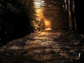 Golden Path