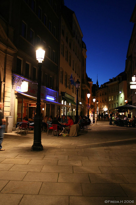 Spring Night