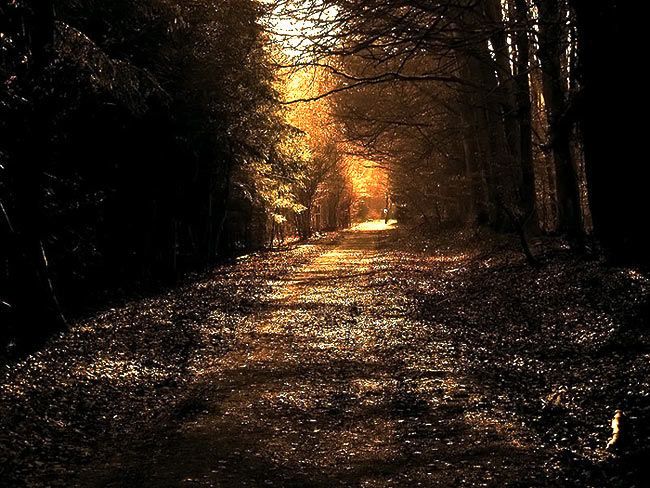 Golden Path