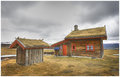 IMG_4515grass-roof.jpg