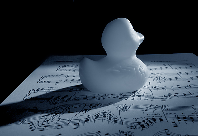 Ducky Lake - Tribute to DeSousa's Swan Lake