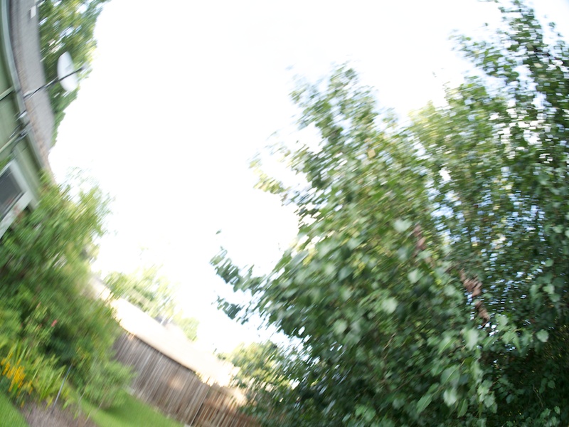 P8074258