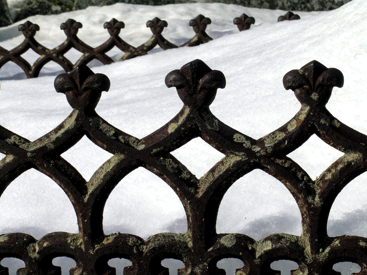 fence.jpg